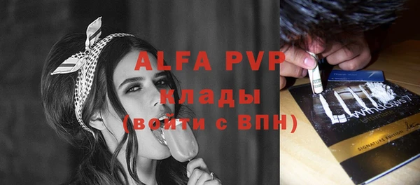 сатива Абаза