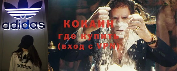 сатива Абаза