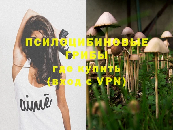 ГАЛЛЮЦИНОГЕННЫЕ ГРИБЫ Алзамай