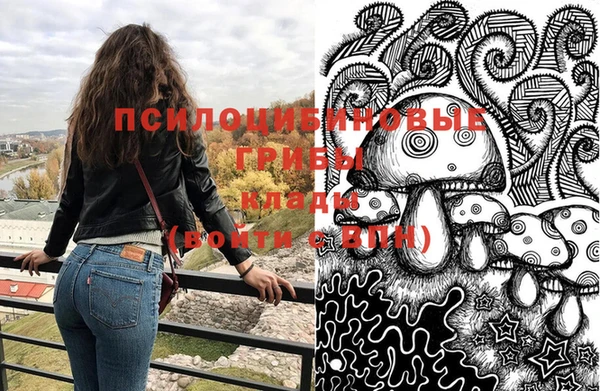 ГАЛЛЮЦИНОГЕННЫЕ ГРИБЫ Алзамай
