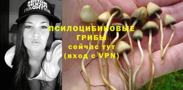 а пвп мука Пестово