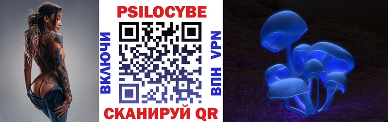 купить Новомичуринск Галлюциногенные грибы GOLDEN TEACHER